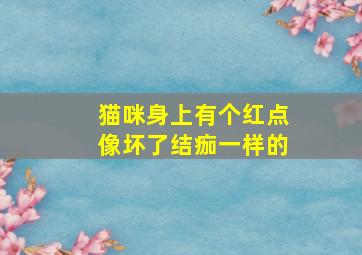 猫咪身上有个红点像坏了结痂一样的