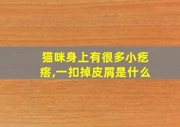 猫咪身上有很多小疙瘩,一扣掉皮屑是什么