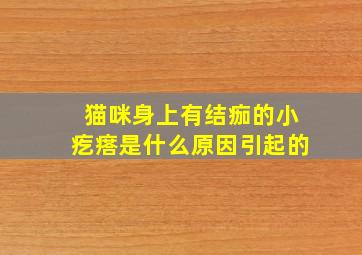 猫咪身上有结痂的小疙瘩是什么原因引起的