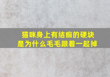 猫咪身上有结痂的硬块是为什么毛毛跟着一起掉