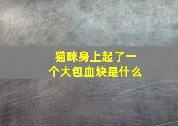 猫咪身上起了一个大包血块是什么