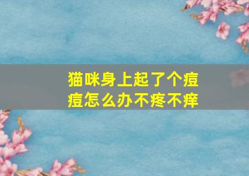 猫咪身上起了个痘痘怎么办不疼不痒