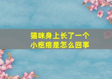 猫咪身上长了一个小疙瘩是怎么回事