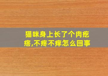 猫咪身上长了个肉疙瘩,不疼不痒怎么回事