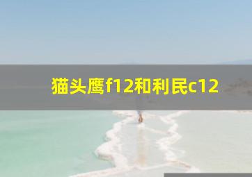 猫头鹰f12和利民c12