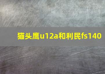 猫头鹰u12a和利民fs140