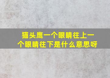 猫头鹰一个眼睛往上一个眼睛往下是什么意思呀