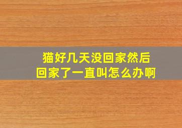 猫好几天没回家然后回家了一直叫怎么办啊