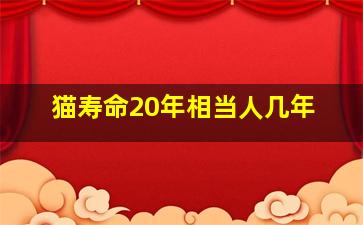 猫寿命20年相当人几年