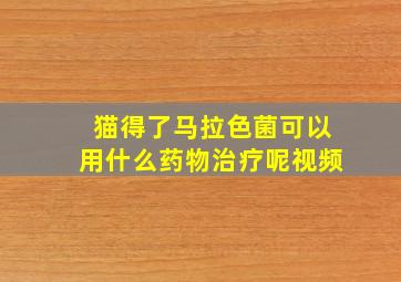 猫得了马拉色菌可以用什么药物治疗呢视频