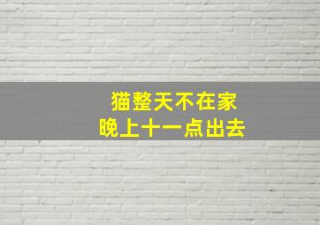 猫整天不在家晚上十一点出去