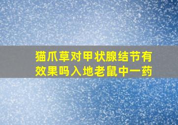 猫爪草对甲状腺结节有效果吗入地老鼠中一药