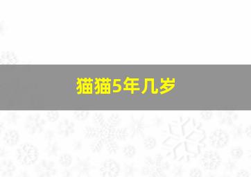 猫猫5年几岁