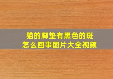 猫的脚垫有黑色的斑怎么回事图片大全视频