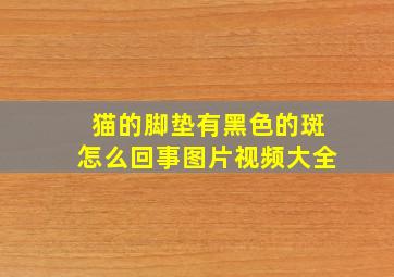 猫的脚垫有黑色的斑怎么回事图片视频大全