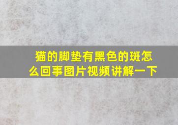 猫的脚垫有黑色的斑怎么回事图片视频讲解一下