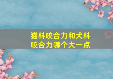 猫科咬合力和犬科咬合力哪个大一点