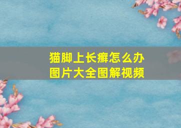 猫脚上长癣怎么办图片大全图解视频