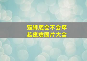 猫脚底会不会痒起疙瘩图片大全