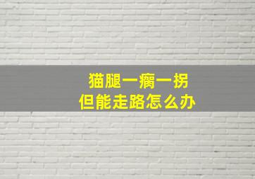 猫腿一瘸一拐但能走路怎么办