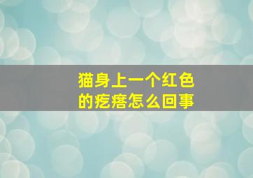 猫身上一个红色的疙瘩怎么回事