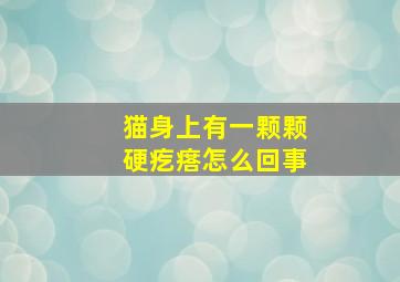 猫身上有一颗颗硬疙瘩怎么回事