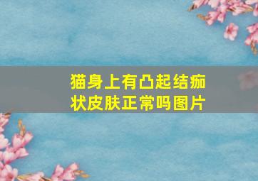 猫身上有凸起结痂状皮肤正常吗图片