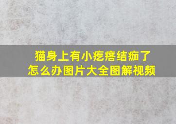 猫身上有小疙瘩结痂了怎么办图片大全图解视频