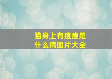 猫身上有痘痘是什么病图片大全