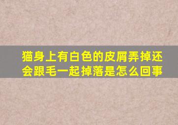 猫身上有白色的皮屑弄掉还会跟毛一起掉落是怎么回事