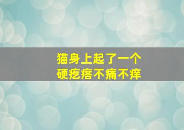 猫身上起了一个硬疙瘩不痛不痒