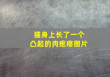 猫身上长了一个凸起的肉疙瘩图片