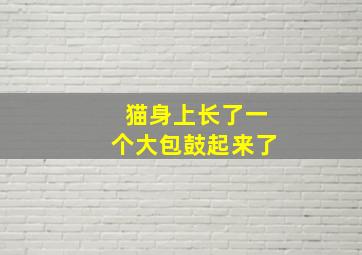 猫身上长了一个大包鼓起来了