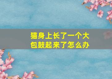 猫身上长了一个大包鼓起来了怎么办