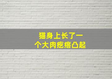 猫身上长了一个大肉疙瘩凸起