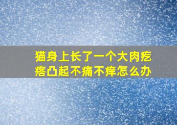 猫身上长了一个大肉疙瘩凸起不痛不痒怎么办