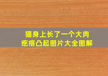 猫身上长了一个大肉疙瘩凸起图片大全图解