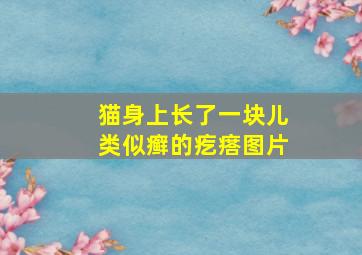 猫身上长了一块儿类似癣的疙瘩图片