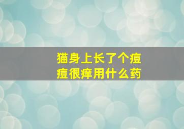 猫身上长了个痘痘很痒用什么药