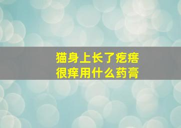 猫身上长了疙瘩很痒用什么药膏