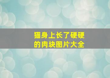 猫身上长了硬硬的肉块图片大全