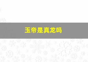 玉帝是真龙吗