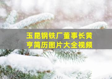 玉昆钢铁厂董事长黄亨简历图片大全视频