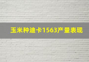 玉米种迪卡1563产量表现