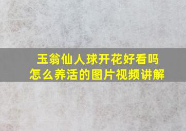 玉翁仙人球开花好看吗怎么养活的图片视频讲解