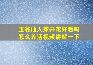 玉翁仙人球开花好看吗怎么养活视频讲解一下