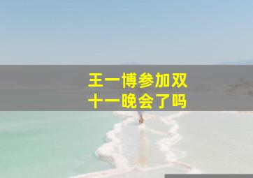 王一博参加双十一晚会了吗