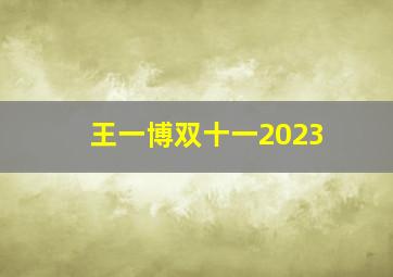 王一博双十一2023