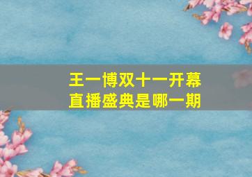 王一博双十一开幕直播盛典是哪一期