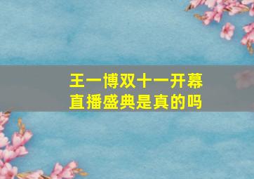 王一博双十一开幕直播盛典是真的吗